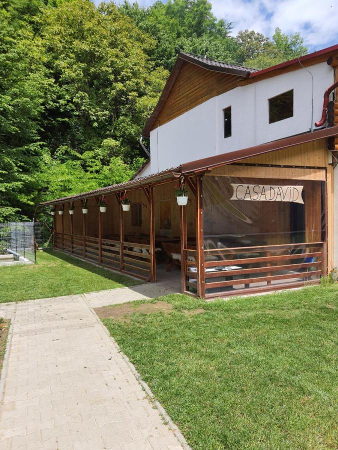 Pensiunea Casa David Şugag Exteriör bild